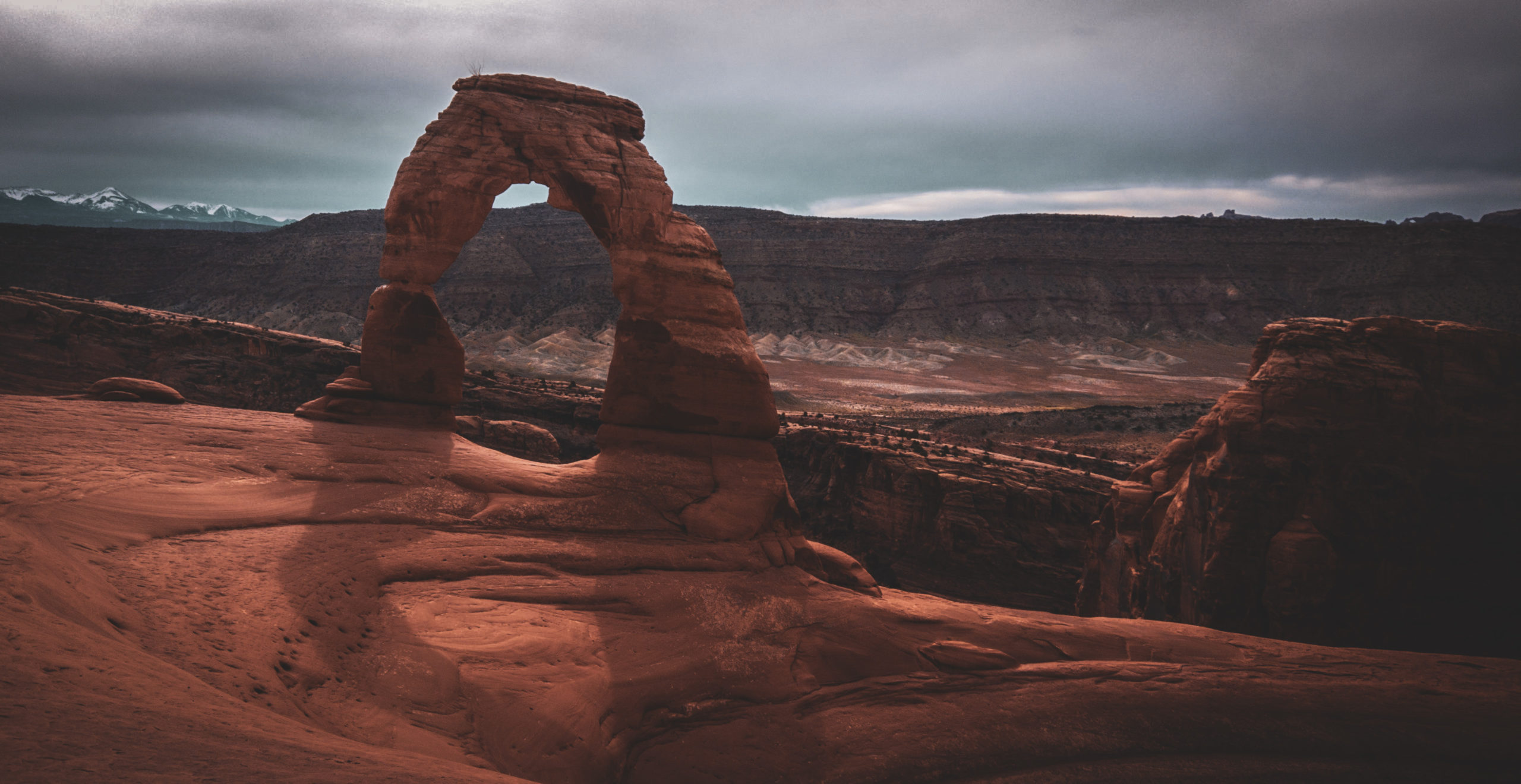 From Red Trees, to Red Rocks!